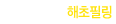ʸ