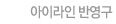 ̶ ݿ