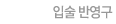 Լ ݿ
