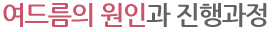 여드름의 원인과 진행과정