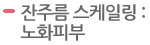 잔주름 스케일링 : 노화피부