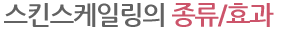 스킨스케일링의 종류/효과