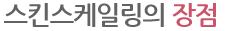 스킨스케일링의 장점