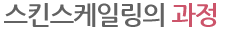 스킨스케일링의 과정