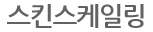 스킨스케일링