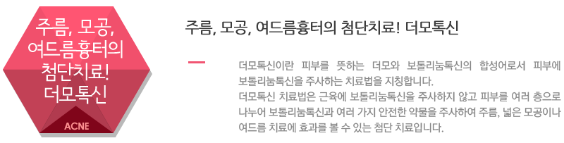 주름, 모공, 여드름흉터의 첨단치료! 더모톡신