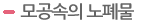 모공속의 노폐물