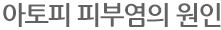 아토피 피부염의 원인
