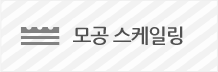 모공 스케일링
