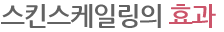 스킨스케일링의 효과
