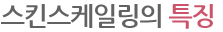 스킨스케일링의 특징