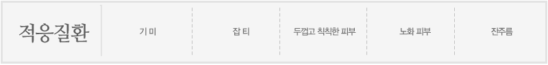 적응질환(기미, 잡티,두껍고 칙칙한 피부, 노화 피부, 잔주름)