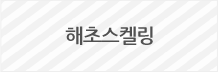해초스켈링