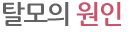 탈모의 원인