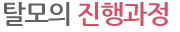 탈모의 진행과정
