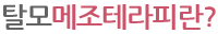 탈모메조테라피란?