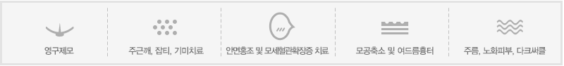 영구제모, 주근깨, 잡티, 기미치료, 안면홍조 및 모세혈관확장증 치료, 모공축소 및 여드름흉터, 주름, 노화피부, 다크써클 