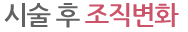 시술 후 조직변화