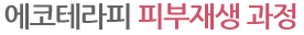 에코테라피 피부재생 과정