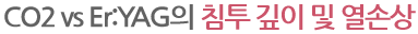 CO2 vs Er:YAG의 침투 깊이 및 열손상