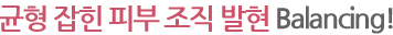 균형 잡힌 피부 조직 발현 Balancing!